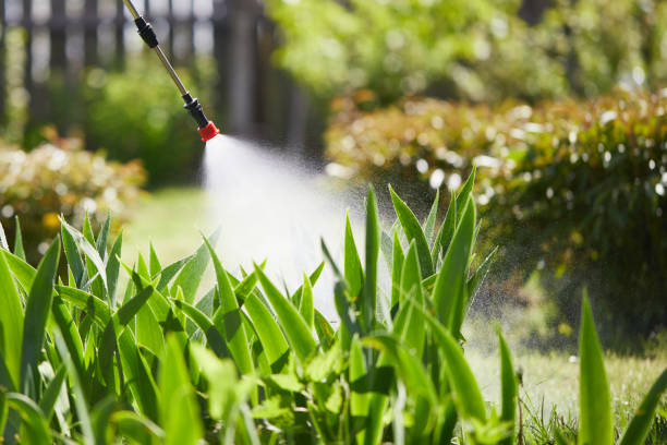 Tamper-Resistant Bait Stations for Rodents in Ralston