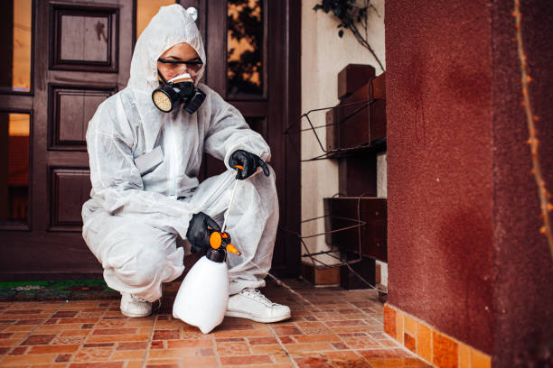 Attic and Crawl Space Rodent Treatment in Ralston