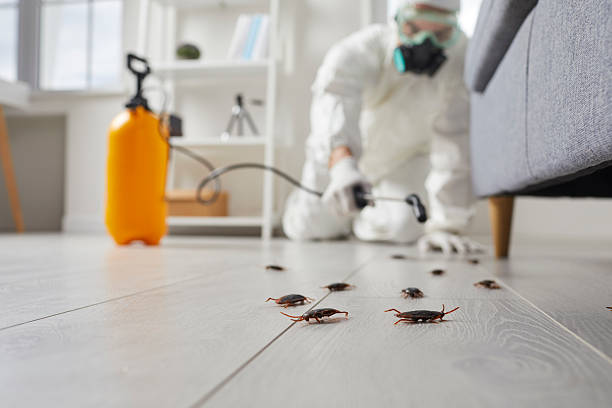 Commercial Rodent Management in Ralston